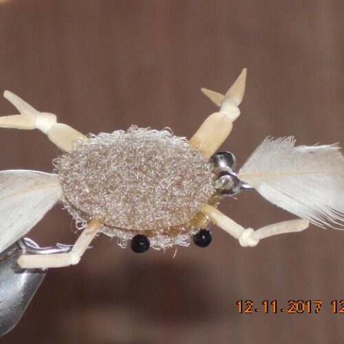 Velcro crab feathers beige