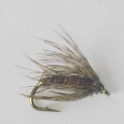 Pheasant tail soft hackle wet fly